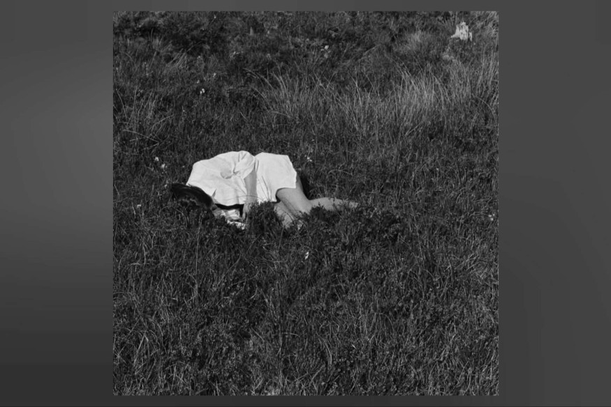"Wild Love" - Nina Winder-Lind